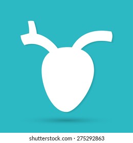 human heart icon