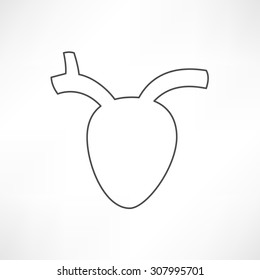 human heart icon
