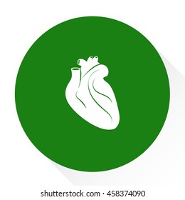 human heart icon