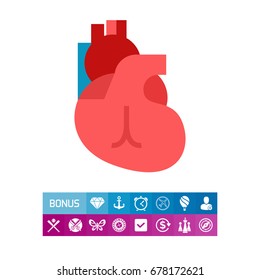 Human Heart Icon