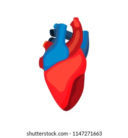 Human heart icon in cartoon style. For medicine, education and school posters