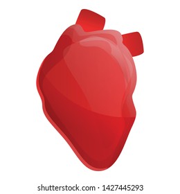 Human heart icon. Cartoon of human heart vector icon for web design isolated on white background