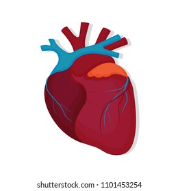 Human heart icon in flat style