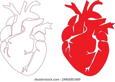  Icono del corazón humano en Ilustración vectorial aislada de estilo plano sobre fondo transparente blanco