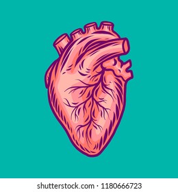 Human heart icon. Hand drawn illustration of human heart vector icon for web design