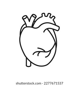 Human heart icon. High quality black vector illustration.