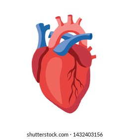 Human Heart Icon Illustration Vector