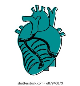 human heart icon image 