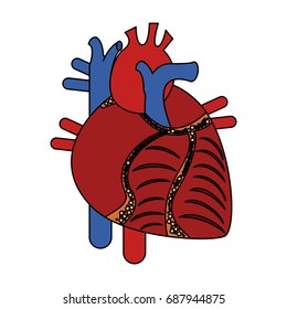 human heart icon image 