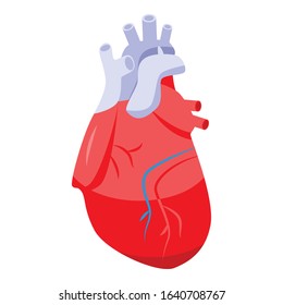 Human heart icon. Isometric of human heart vector icon for web design isolated on white background