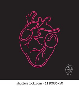 Human heart icon. Line design. Vector illustration EPS 10