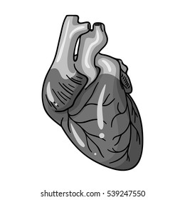 Human heart icon in monochrome style isolated on white background. Human organs symbol stock vector illustration.