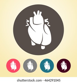 Human Heart Icon in round shape.