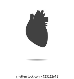Human heart icon - simple flat design isolated on white background, vector