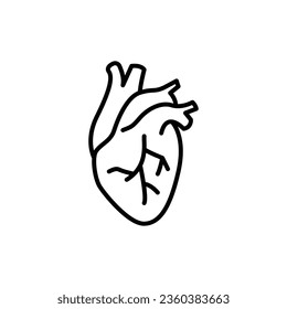 Icono del corazón humano. Estilo de contorno simple. Órgano interno, real, cardiología, anatomía cardíaca, concepto médico. Símbolo de línea delgada. Ilustración vectorial aislada en fondo blanco. EPS 10.
