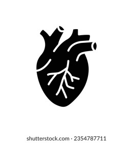 Icono del corazón humano. Estilo sólido simple. Órgano interno, real, cardiología, anatomía cardíaca, concepto médico. Silueta negra, símbolo de glifo. Ilustración vectorial aislada en fondo blanco. EPS 10.