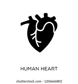 Human Heart icon. Human Heart symbol design from Human Body Parts collection.