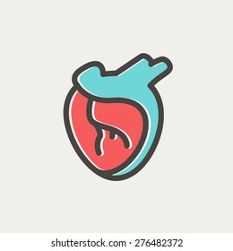 Human heart icon thin line for web and mobile, modern minimalistic flat design. Vector icon with dark grey outline and offset colour on light grey background.