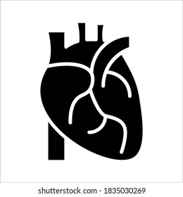 Icono de corazón humano, diseño de ilustración vectorial. silueta de órgano del corazón humano con grandes vasos sobre fondo blanco
