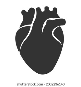 Icono del corazón humano. Diseño plano de ilustración vectorial. Aislado sobre fondo blanco. Sistema venoso. Órganos musculares internos. Bomba de sangre