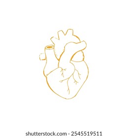 Ilustración vectorial del icono del corazón humano
