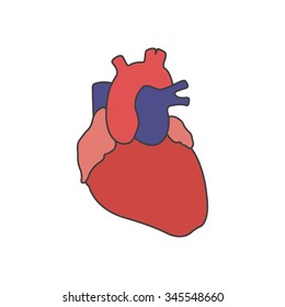 human heart icon. vector illustration