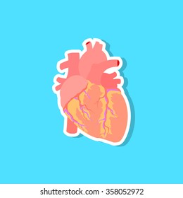 Human heart icon, vector illustration 