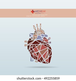Human heart icon. Vector illustration.