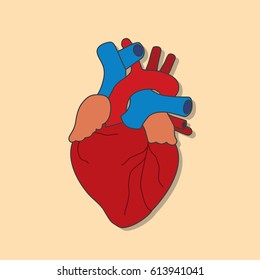 Human heart icon, vector illustration design. Medicine and health care objects.
