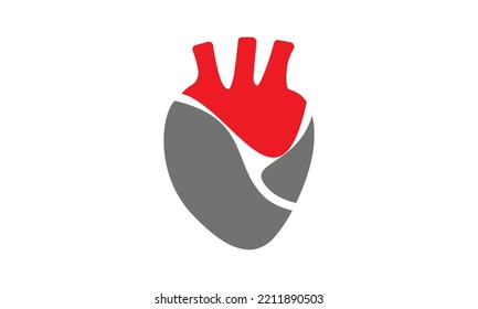 Human heart icon vector image