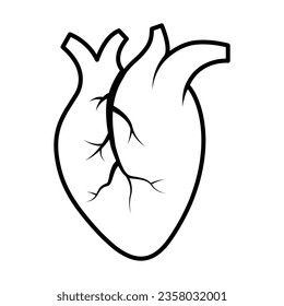 Human heart icon vector on trendy design