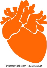 Human heart illustration