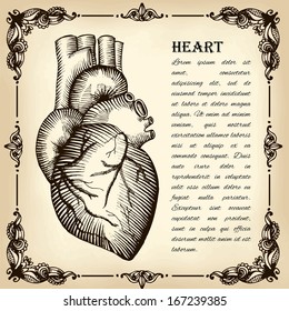  The human heart, illustration, card Valentine's Day