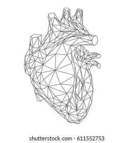 Human heart illustration, polygonal design, vector file