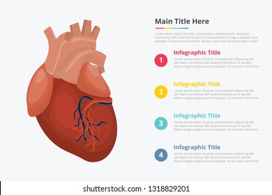 human heart infographic with some point title description for information template - vector illustration