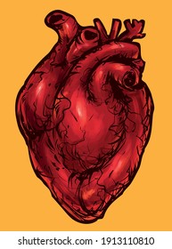 Human Heart Internal Organ Anatomy Vector Graphics