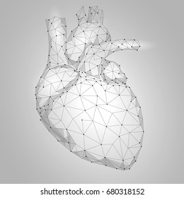 Human Heart Internal Organ Triangle Low Poly. Connected Dots White Gray Neutral Color Technology 3d Model Medicine Healthy Body Part Vector Illustration