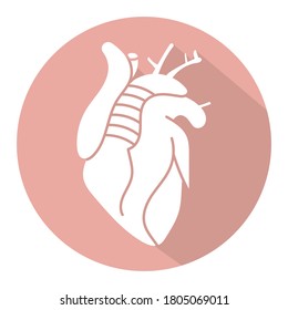 Órganos internos del corazón humano icono vectorial en un fondo rojo redondo para aplicaciones o sitio web