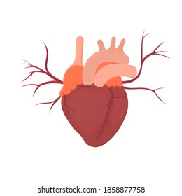 Human heart. Internal organs, vector illustration