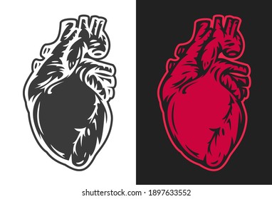 Human heart isolated on clear background. Monochrome and color hand drawn object in vintage cartoon style for print, tattoo, sticker. Vector illustration.