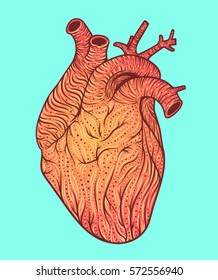 Human heart line art. Vector illustration. Tattoo style. Vintage 