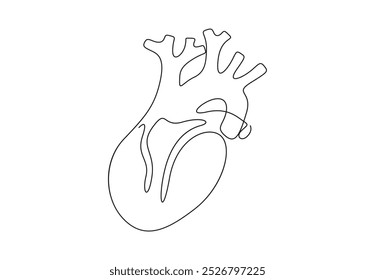 Dibujo de la línea del corazón humano. Aislado sobre fondo blanco Ilustración vectorial 