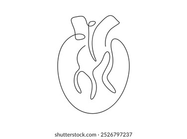 Dibujo de la línea del corazón humano. Aislado sobre fondo blanco Ilustración vectorial 