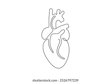 Dibujo de la línea del corazón humano. Aislado sobre fondo blanco Ilustración vectorial 