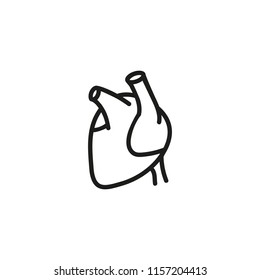 Human heart line icon. Cardiology, heart disease, attack. Organs concept. Vector illustration can be used for topics like anatomy, medicine, health