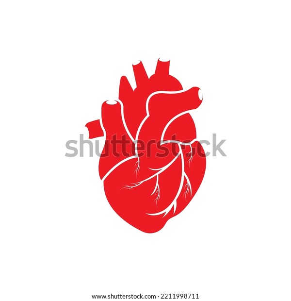 Human Heart Logo Medical Cardiology Vector Stock Vector (Royalty Free ...