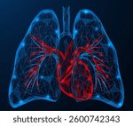 The human heart and lungs. Low-poly design of interconnected lines and dots. Blue background.