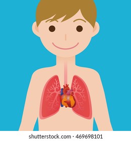 Human Heart And Lungs, Simplified Anatomical Chart