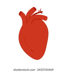 Human heart, main internal organ of cardiovascular system vector illustration