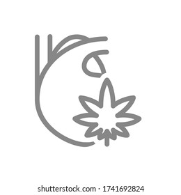 Human heart with marijuana leaf line icon. Cannabis treatment, anesthesia symbol